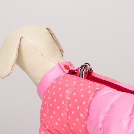 Dogs "Polit", size 22 (DS 48, OG 54, Osh 38 cm), pink-3