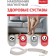 Bradex Magnetic Knight "Healthy Joints"