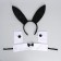 Carnival set "Oblast Bunny" (ears+ chocker+ accessory on the wrist)