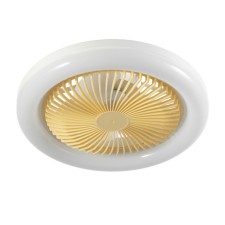 Light 