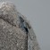 Soft bag "cat". The color is gray