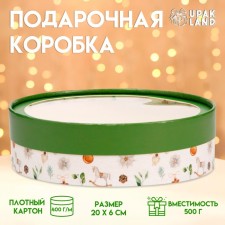 Box for Makarun tube with the window 