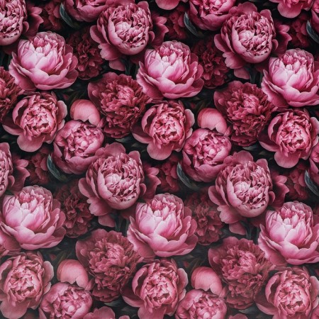Package Paper, glossy "peonies" 70 x 100 cm-2