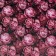 Package Paper, glossy "peonies" 70 x 100 cm