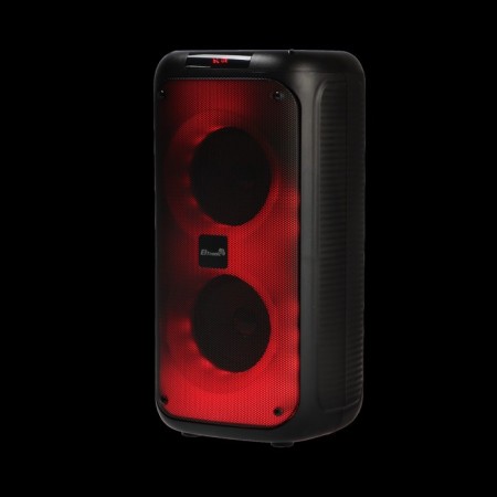 Portable column Eltronic Fire Box 220, 22W, 4000 MACH, FM, BT, Microsd, AUX, TWS, LIGHT-4