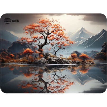 Cactus Lake 400x300x3mm (CS-MP-PRO18XL) mouse rug