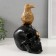Polystone souvenir "Bird skull" 9.5x14x21 cm