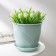 Plastic pot "Venice", d = 19, with a pallet, mint