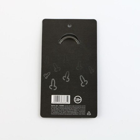 Metallic key keychain with a joke "Plans for the Day", 7 x 3 cm-4