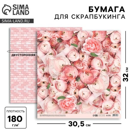 Scrapbooking paper "Pion", 30.5 x 32 cm, 190 g/m²