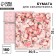 Scrapbooking paper "Pion", 30.5 x 32 cm, 190 g/m²