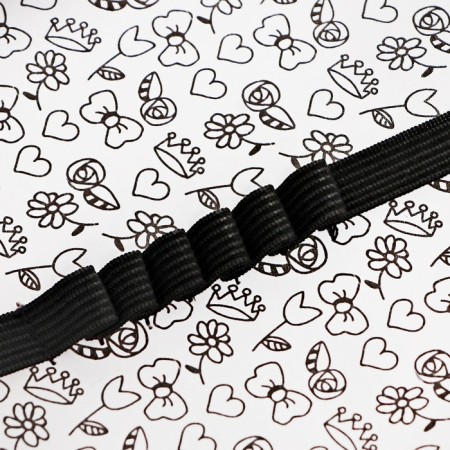 Folder D/Labor A4 with lightning handles around plastic PTR-6 Calligrata-7
