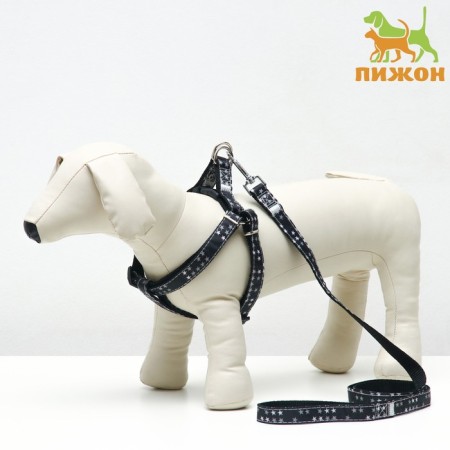 The ammunition set is two-layer, size L, leash 120 x 2 cm, Osh 31-45, OG 35-52 cm, stars