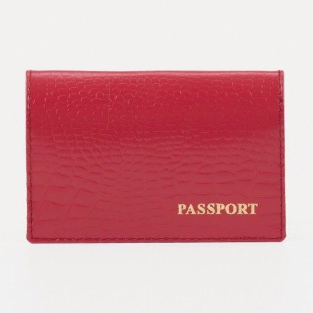 Cover for passport, fuchsia color