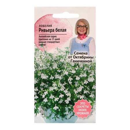 Lobelia flowers "Riviera White", 10 pcs