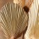 Dry flowers "Palm leaf", 54 × 110 × 2 cm