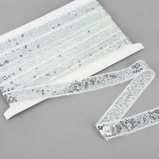 Decorative braid with sequins, 20 mm, 4.5 ± 0.5 m, silver color