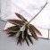Artificial flowers "Palma home luxury" 55 cm, lilac-green