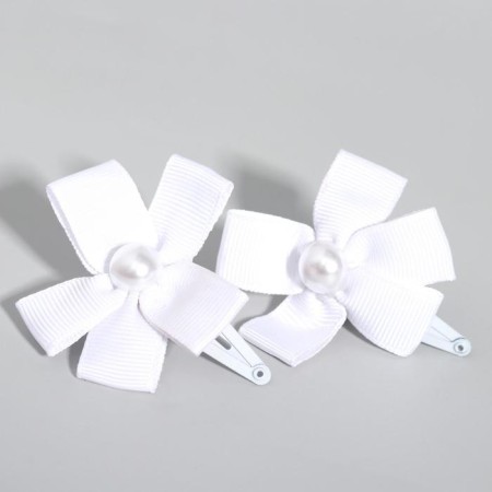 Hair hair clip, 2 pieces, Winx-1