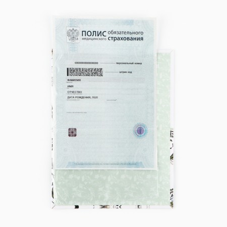 The folder for the medical policy "Flower", 17.5 x 11.3 cm.-3