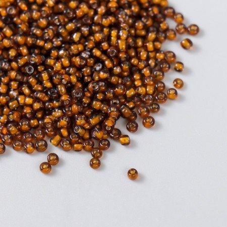 Beads "Astra" 11/0, 20 g (308 brown/transparent with a color center)