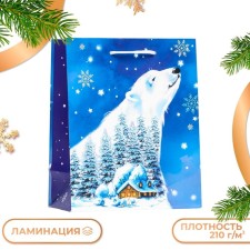 Gift Package 
