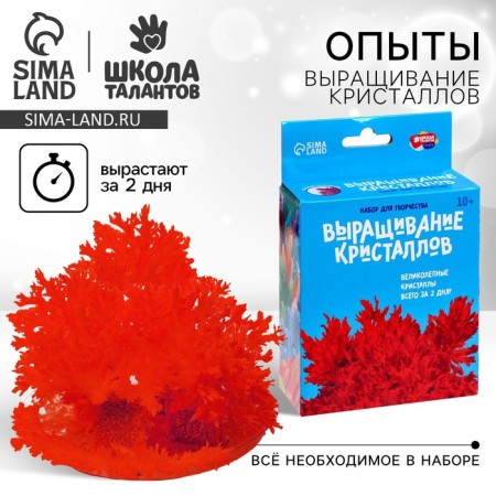 Set for creativity "radiant crystals", the color of red