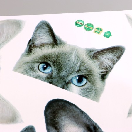 Stick 3D Interior pets 57*42cm-3