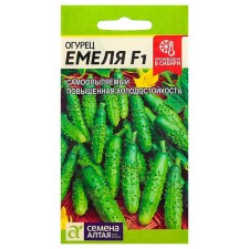 Cucumber seeds 