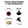 Screw eyes with plugs, "sparkles" set 48 pcs, size 1 pcs: 1.2 cm, brown color