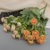 Bouquet "Rose Dwarf Galant" 30 cm, mix