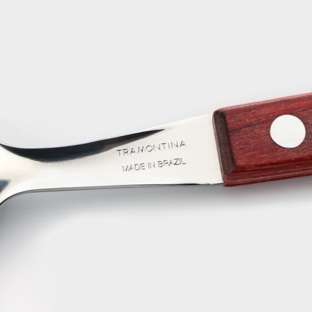 Tablespoon Tramontina Polywood, chestnut color-2