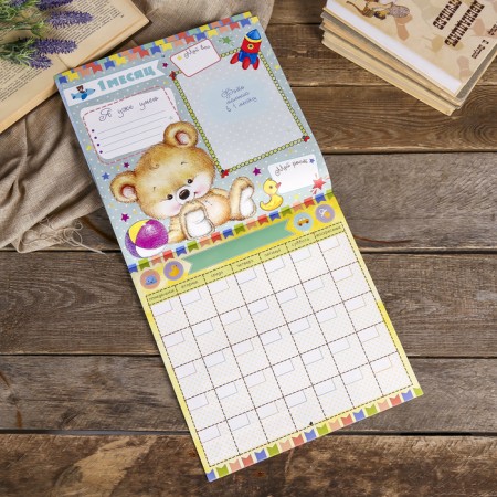 Photo album-calendar "Our baby: first year day after day", 12 sheets-2