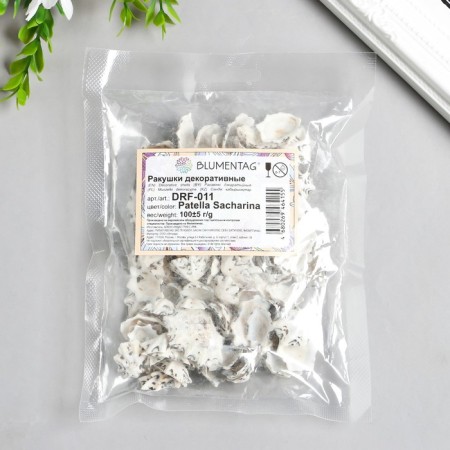 Decorative shells "Zlatka" 100 g ± 5 g, 2.5 cm-2