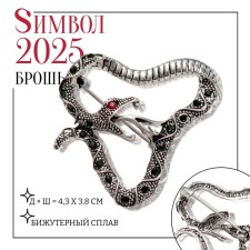 New Year! Symbol of the year 2025! Brooch 