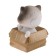 Happy Cat on a car panel shocking his head, SP23