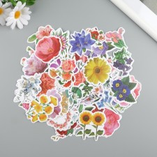 Stickers Plastic 