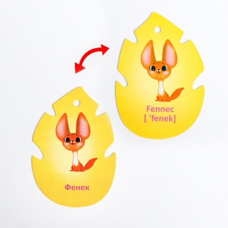 Cards on the ring for learning English "Dzhungly and Safari", 20 cards, ring, 3+-3