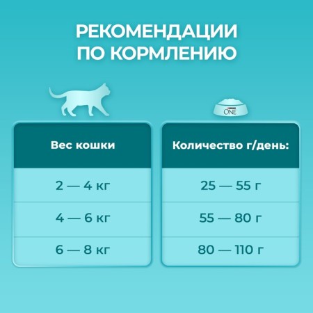 Dry food One for home cats, turkey with whole cereals 200 g-5