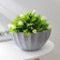 Kashpo for flowers with an auto -watering “shell”, 2.4 l, d = 22cm, h = 10.5 cm, color gray color