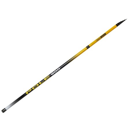 The float rod without rings Team Salmo T Pole, test 2-12 g, length 8 m.