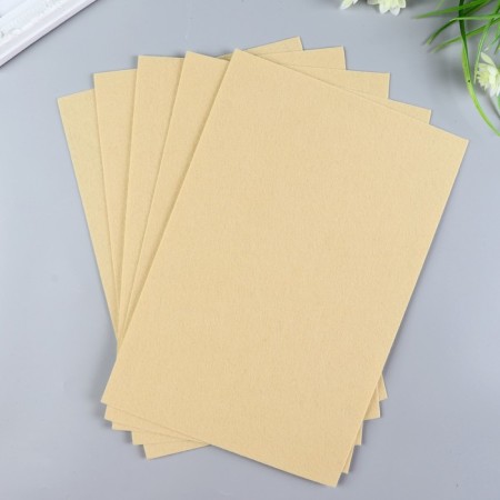 Hard felt 1 mm 20x30 cm St.-1