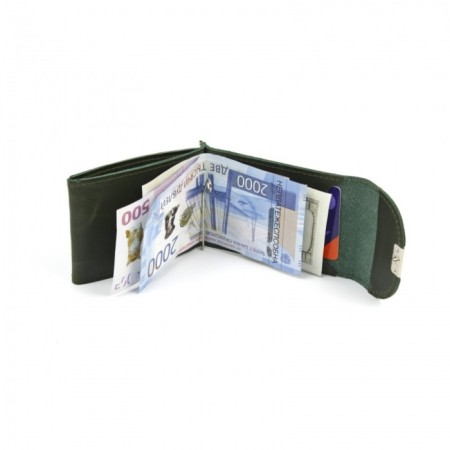 ZK300-205 clip for bills ZK302, green dark pool-up-205-3