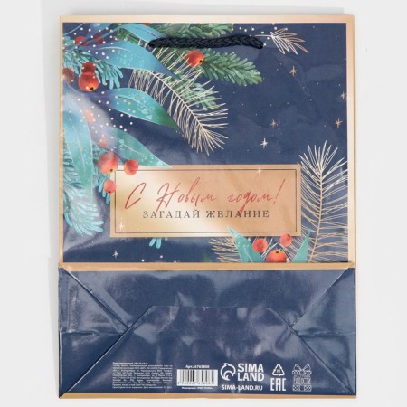 Laminated vertical package “Make desire”, MS 18 x 23 x 8 cm, New Year-6