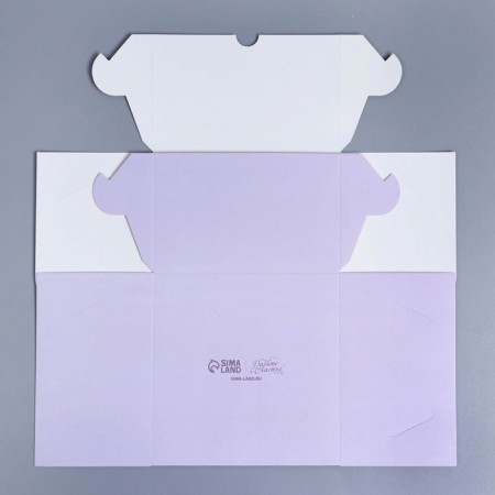 Capley box, confectionery packaging with a window, 4 cells "Pattern", 16 x 16 x 10 cm-6