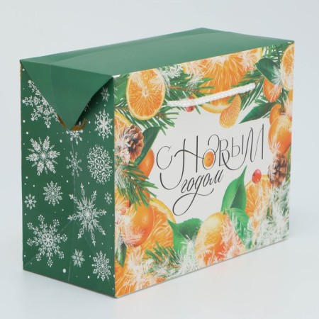 Package - Snow History, 23 x 18 x 11 cm, New Year-2