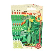 Cucumber seeds 