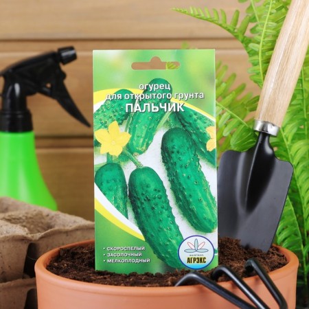 Seeds of cucumber "finger", early -grown, parthenocarpic, 10 pcs-2