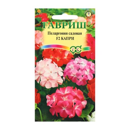 Seeds of indoor flowers Pelargonium "Capri", F2, 4 pcs.-2