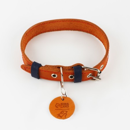 Set: collar (36-56x2.5 cm) and leash (130x1.5 cm), beige and blue color-2